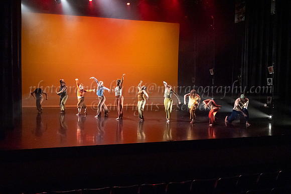 12 dsc_5684