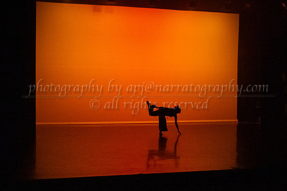 12 dsc_5687