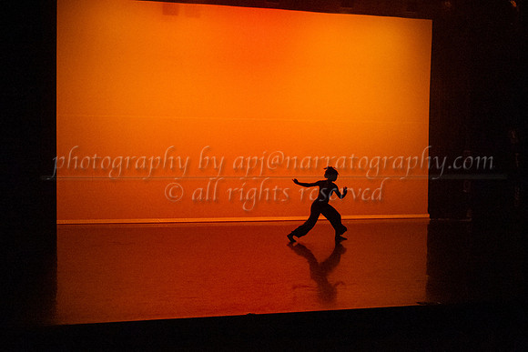 12 dsc_5688