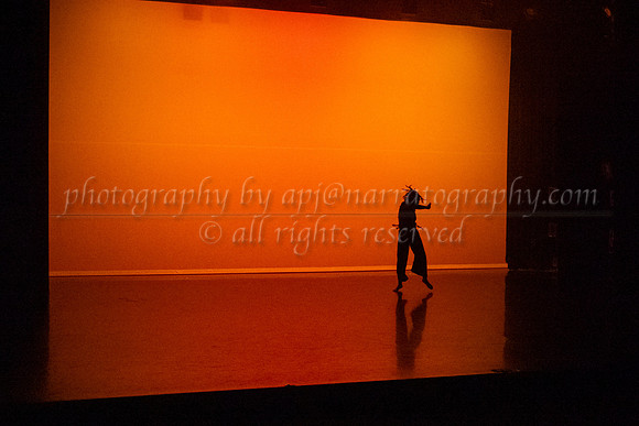 12 dsc_5689