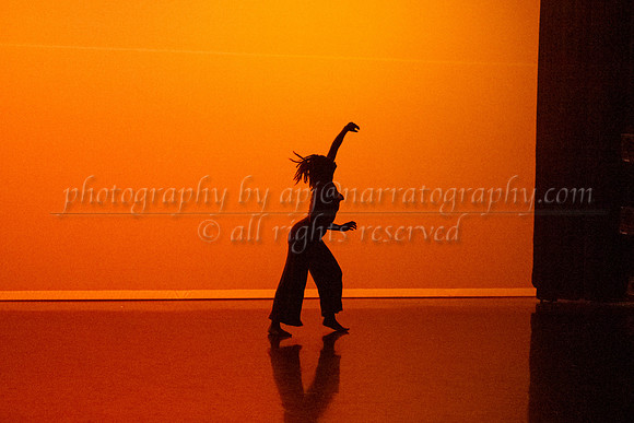 12 dsc_5690
