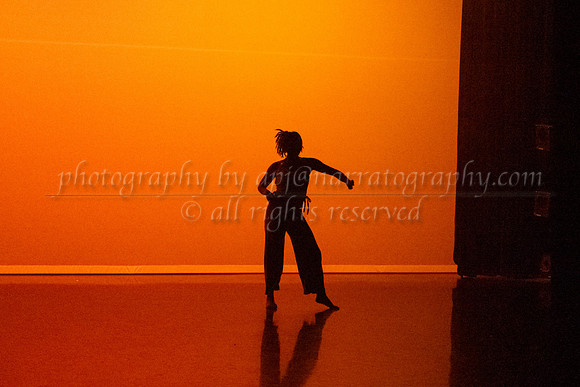 12 dsc_5691