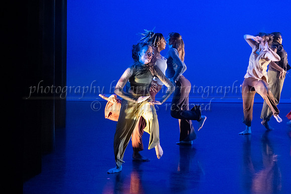 12 dsc_5726