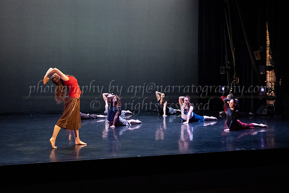 3 dsc_6355