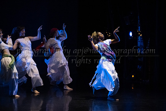 8 dsc_7004
