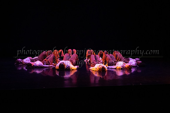 6 dsc_6655