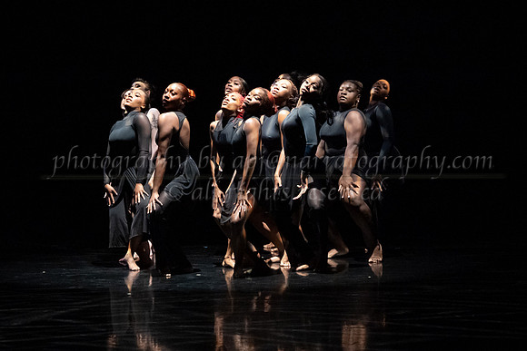 4 dsc_6529
