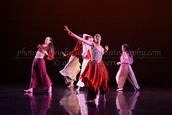 5 dsc_6611