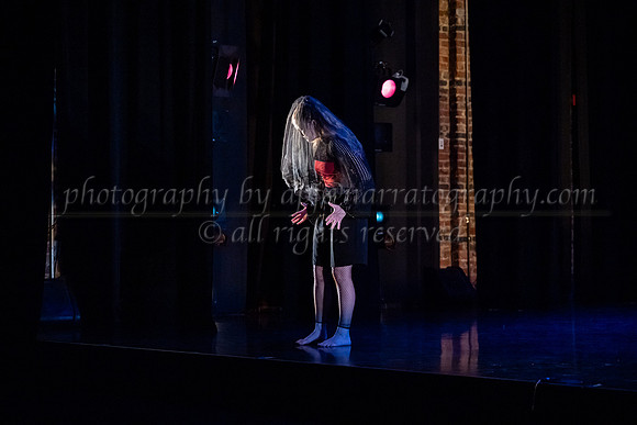 2 dsc_6238