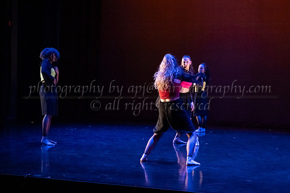 2 dsc_6242