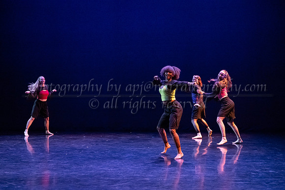 2 dsc_6264