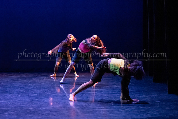 2 dsc_6266