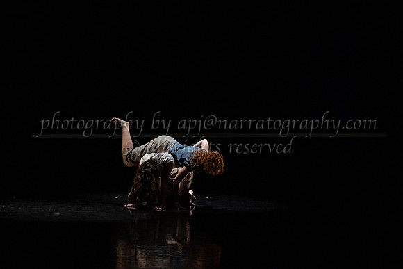3 dsc_6312