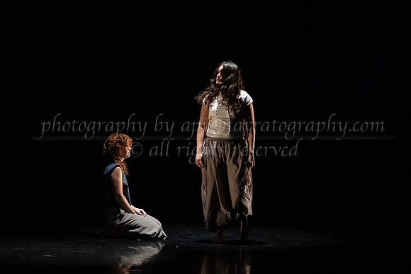 3 dsc_6313