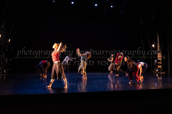 3 dsc_6337