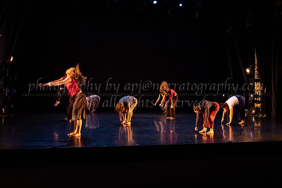 3 dsc_6339