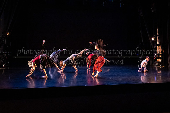 3 dsc_6341
