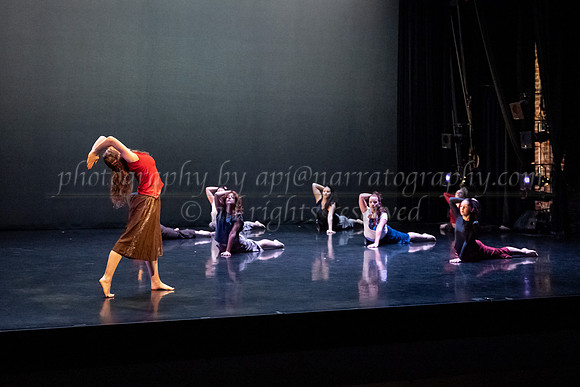 3 dsc_6355