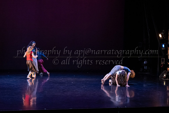 3 dsc_6392