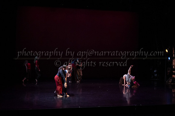3 dsc_6395