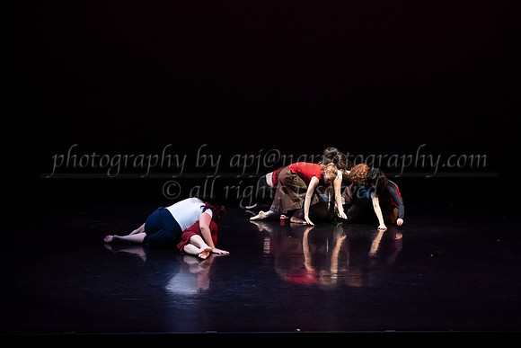 3 dsc_6399