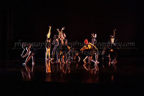 4 dsc_6438