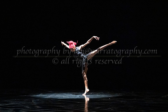 4 dsc_6469
