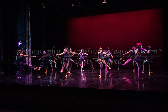 4 dsc_6538