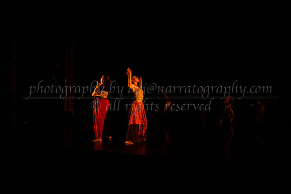 5 dsc_6564