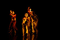 5 dsc_6568