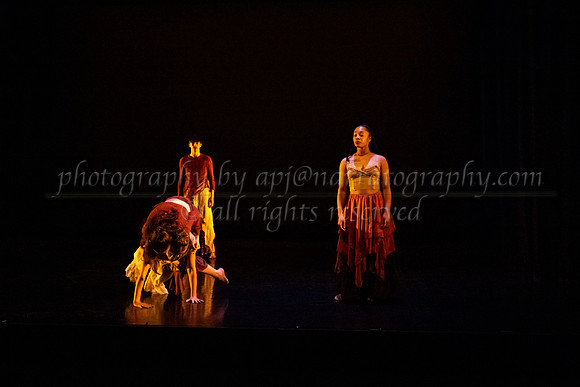 5 dsc_6578