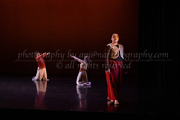 5 dsc_6584