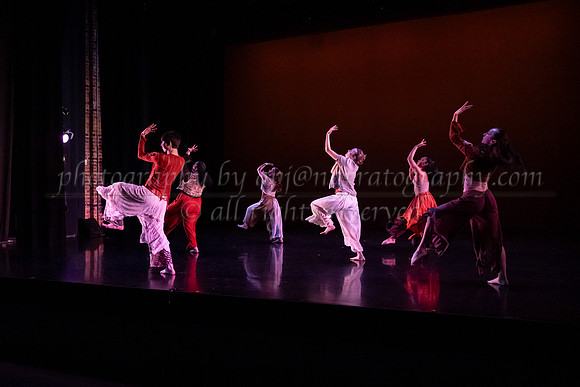 5 dsc_6593
