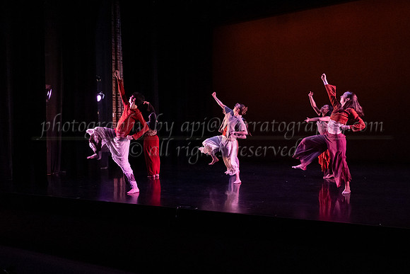 5 dsc_6594