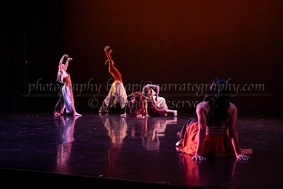 5 dsc_6607