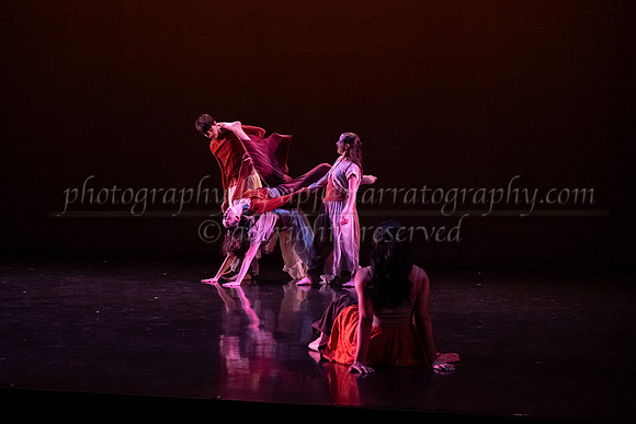 5 dsc_6608