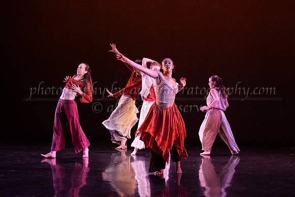 5 dsc_6611