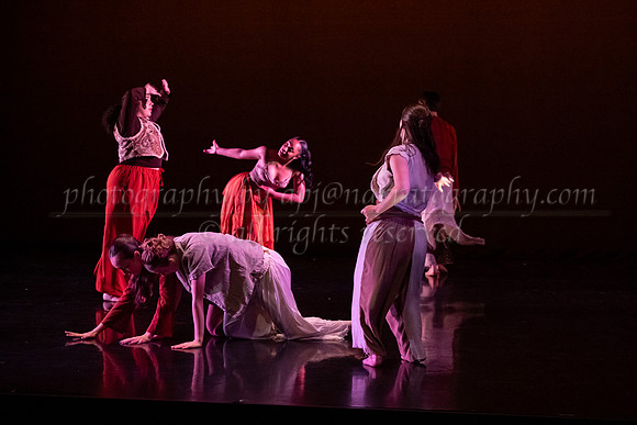 5 dsc_6619