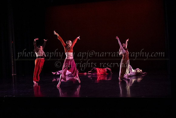 5 dsc_6633