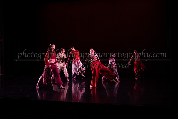 5 dsc_6642