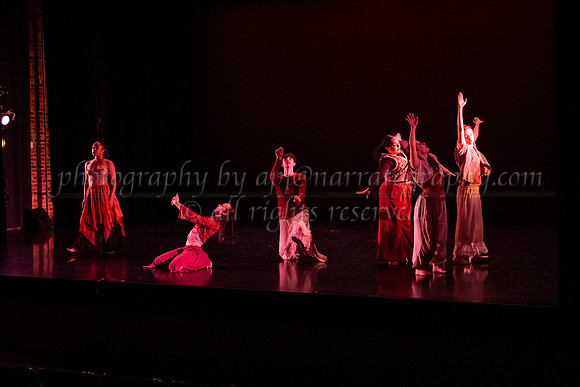 5 dsc_6648