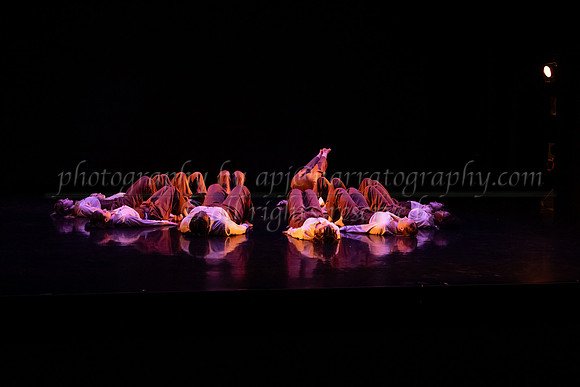 6 dsc_6656