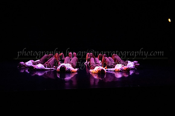 6 dsc_6654