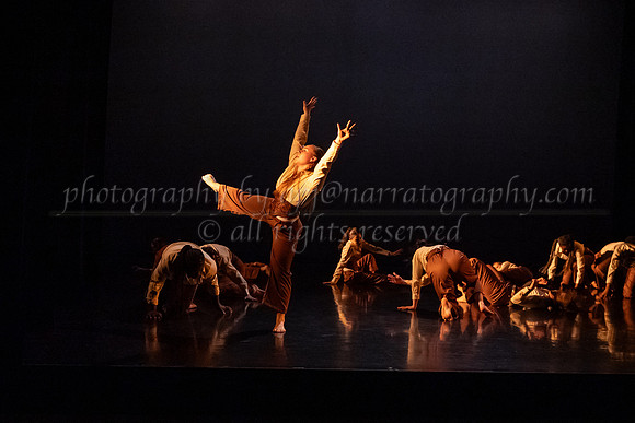 6 dsc_6678