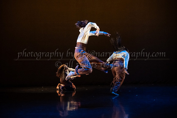 6 dsc_6704