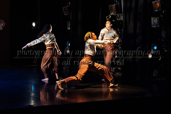 6 dsc_6711
