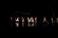 8 dsc_6909