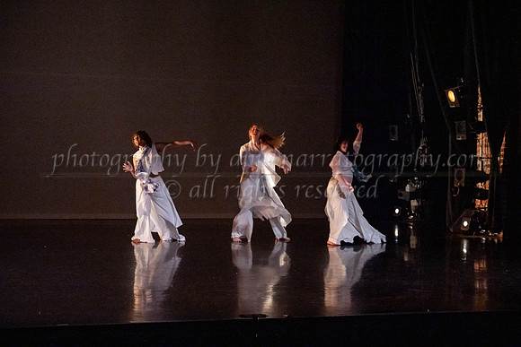 8 dsc_6916