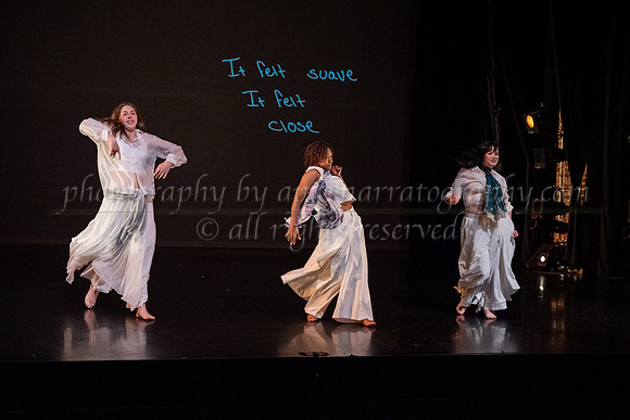 8 dsc_6919