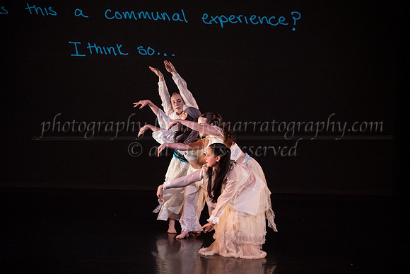 8 dsc_6930